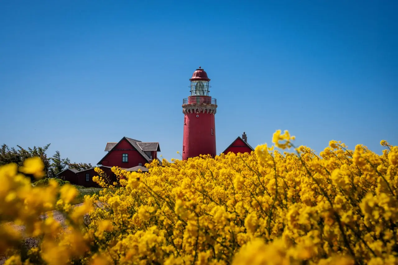 Byggesagkyndig sommerhus